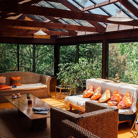 Hotel Kawai Purapura Yoga Retreat Centre à Auckland Extérieur photo